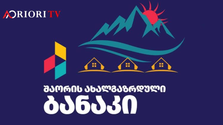 საზაფხულო ბანაკი უცხოეთში მცხოვრები 14-დან 18 წლამდე ასაკის მოზარდებისთვის