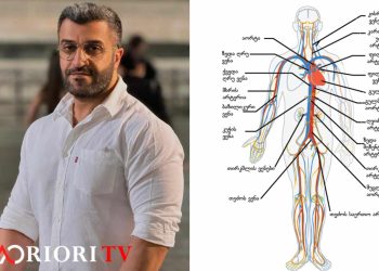 10 საკვები რომელიც ასუფთავებს არტერიებს