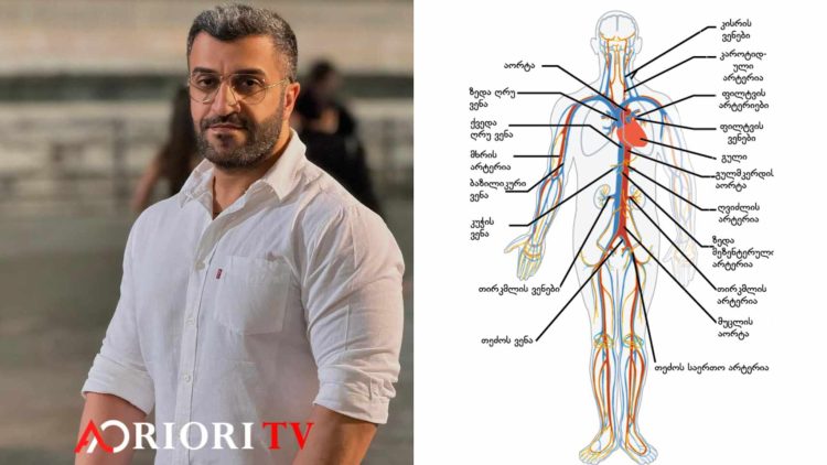 10 საკვები რომელიც ასუფთავებს არტერიებს