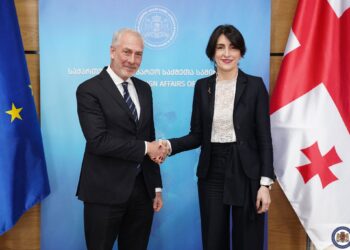 საქართველოს საგარეო საქმეთა მინისტრი მაკა ბოჭორიშვილი, საქართველოში იტალიის საგანგებო და სრულუფლებიან ელჩს, მასიმილიანო დ’ანტუონოს შეხვდა