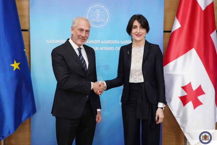 საქართველოს საგარეო საქმეთა მინისტრი მაკა ბოჭორიშვილი, საქართველოში იტალიის საგანგებო და სრულუფლებიან ელჩს, მასიმილიანო დ’ანტუონოს შეხვდა