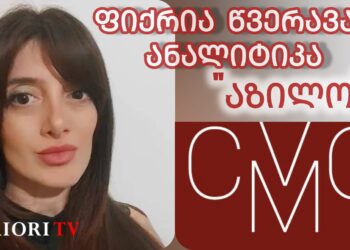 ფიქრია წვერავას ანალიტიკური სტატია „აზილოს“- საერთაშორისო დაცვის სამართლებრივ საკითხებზე