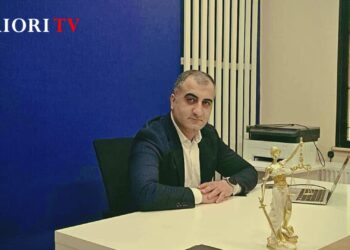 სამართალი, მედიაცია და ემიგრანტების მხარდაჭერა – წარმატებული იურისტის პროფესიული გზა