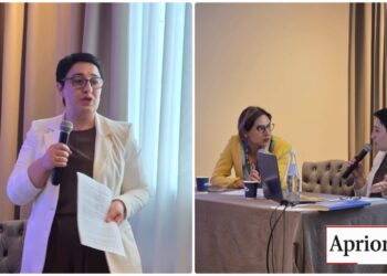 „მედიის როლი ემიგრაციაში“ – ხათუნა შარაძე დიასპორის დღის პანელზე