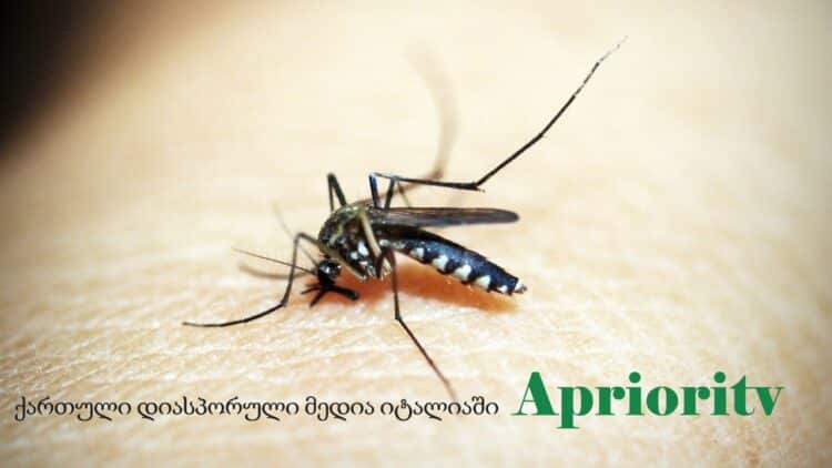 იტალიის ჯანდაცვის სამინისტროს გაფრთხილება – დასავლეთ ნილოსის ცხელება