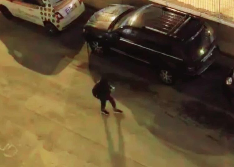 ხათუნა შარაძე