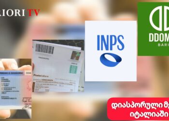 პერმესოს განახლება და სოციალური დახმარებების შეწყვეტა: როგორ ავიცილოთ პრობლემა?