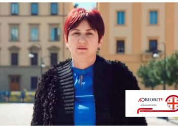 „ემიგრანტის ხმა“: დაკარგული ნაბიჯებიდან ახალი თავის აღმოჩენამდე – ნინო ზამბახიძის ნარატივი