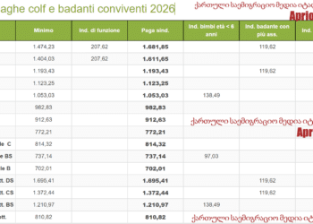 დიასახლისებისა და მომვლელების ხელფასები 2026 წლის იანვრიდან