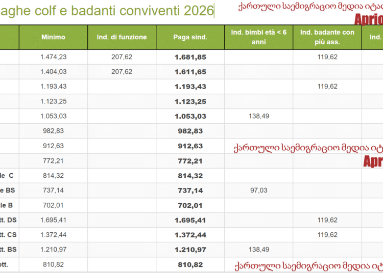 დიასახლისებისა და მომვლელების ხელფასები 2026 წლის იანვრიდან