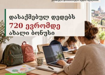 720 ევრომდე ახალი ბონუსი დასაქმებულ დედებს